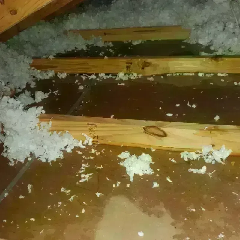 Attic Water Damage in Trent Woods, NC